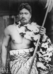 Taitua at Taumaranui, Kings Country, 1885